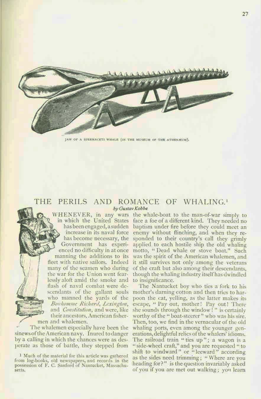 19th CENTURY WHALING TALES. VIST0089d